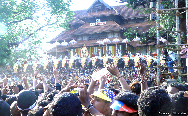 thrissur-pooram-2011- (92)